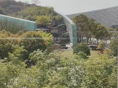 -苏州金鸡湖文博诺富特酒店