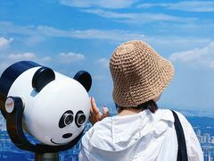 -紫金山山顶公园