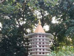 -顺峰山公园