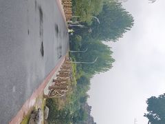 -郑州植物园