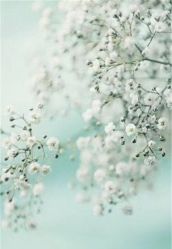 -花轿喜屋婚礼策划