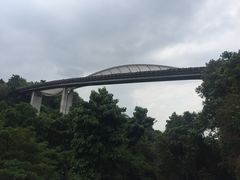 -亨德森波浪桥