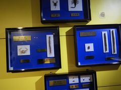 -上海昆虫博物馆