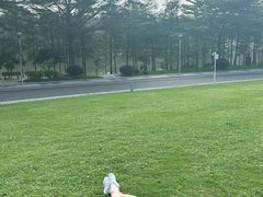 -东莞植物园