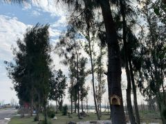 -漩门湾国家湿地公园