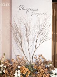 -Sugar苏格婚礼策划工作室