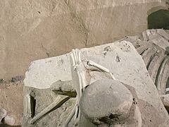 -洛阳周王城天子驾六博物馆