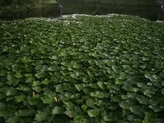 -苏州河梦清园环保主题公园