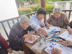 -上海市奉贤区奉城镇敬老院(洪天奉城分院)