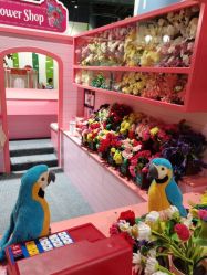 -幻贝家儿童乐园(杭州远洋乐堤港店)