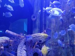 -成都浩海立方海洋公园