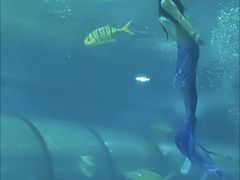 -苏州海洋馆