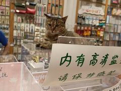 -猫的天空之城概念书店(杭州南宋御街店)