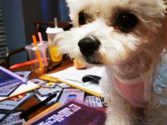 -伽利略剧本探案馆(国贸店)