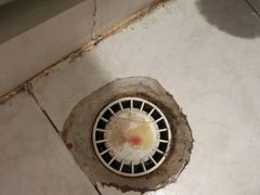 -邢大夫动物医院