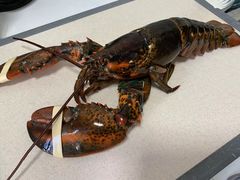 -三旗百汇商品城