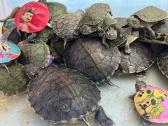 -万达广场(南京江宁店)