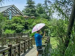 -桤木河湿地公园