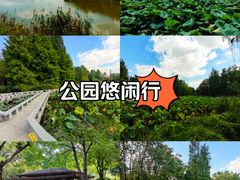 -白塘生态植物园