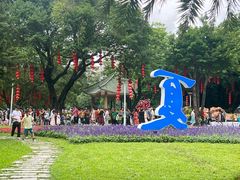 -荔湾湖公园