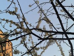 -兰剑驾校(汉阳校区)