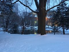 -北海道厅旧本厅舍(旧本庁舎)