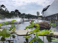 -罗红摄影艺术馆