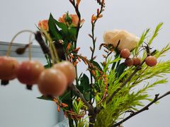 -深圳龙潭公园
