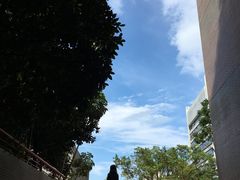 -香港大学