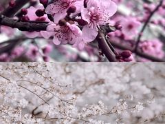 -汇龙潭