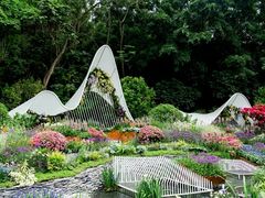 -深圳仙湖植物园