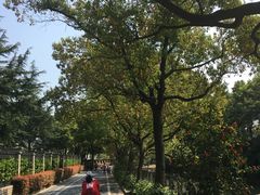 -上海佘山国家森林公园西佘山园