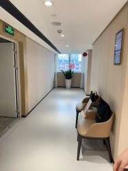 -广东韩妃整形外科医院