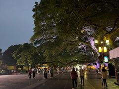 -东西巷