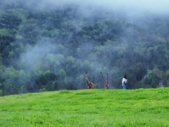 -硗碛藏寨·神木垒景区