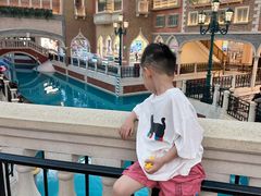 -澳门威尼斯人综合度假区