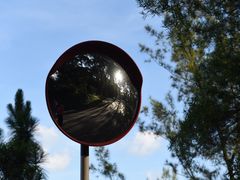 -大埔公路-马料水段香港中文大学(公交站)