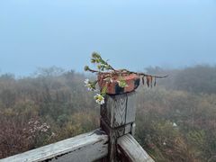 -妙峰山风景名胜区