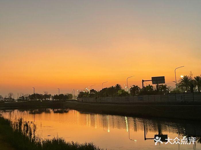 滨海公园图片