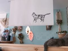 -平行世界·猫咖(首经贸店)