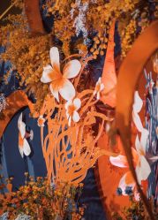 -天邑国际酒店·宴会厅