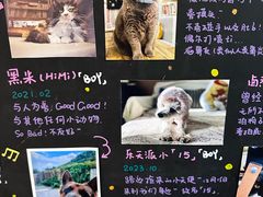 -小时光咖啡馆(开森度假森林店)