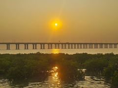 -宝安西湾红树林湿地公园