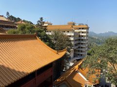 -深圳仙湖植物园