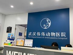 -伟伟宠物医院·CT影像中心·瑞派犬猫综合性门诊(汉口总院)