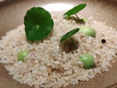 -天水蔬食料理(树德之光店)
