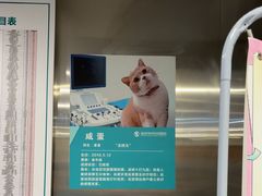 -伟伟宠物医院·CT影像中心·瑞派犬猫综合性门诊(汉口总院)