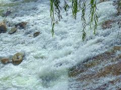 -牛背梁国家森林公园