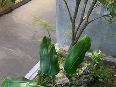 -吴家·非遗淮扬小馆(镇江万达广场店)