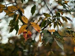 -苏州河梦清园环保主题公园